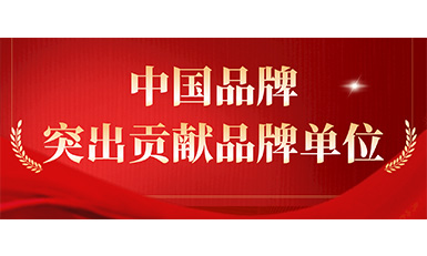 凯发·k8国际,k8国际官网,凯发k8(中国)天生赢家电梯获评“突出贡献品牌单位”，树凯发·k8国际,k8国际官网,凯发k8(中国)天生赢家国品牌标杆力量